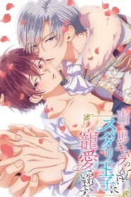 The Perfect Prince Loves Me, the Side Character?!: Season 1